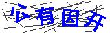 无法显示